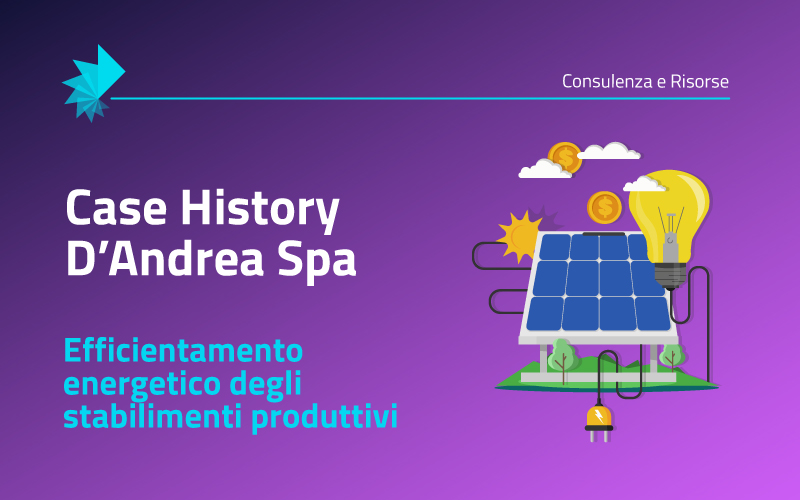 Case History D'Andrea Spa