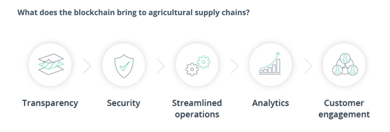 Infografica-Supply-Chain