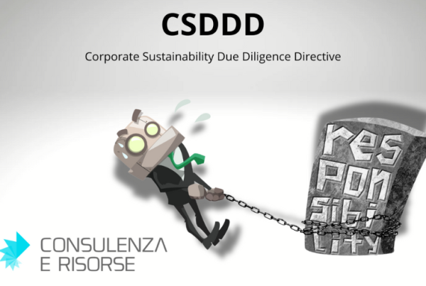 Corporate Sustainability Due Diligence Directive (CSDDD).