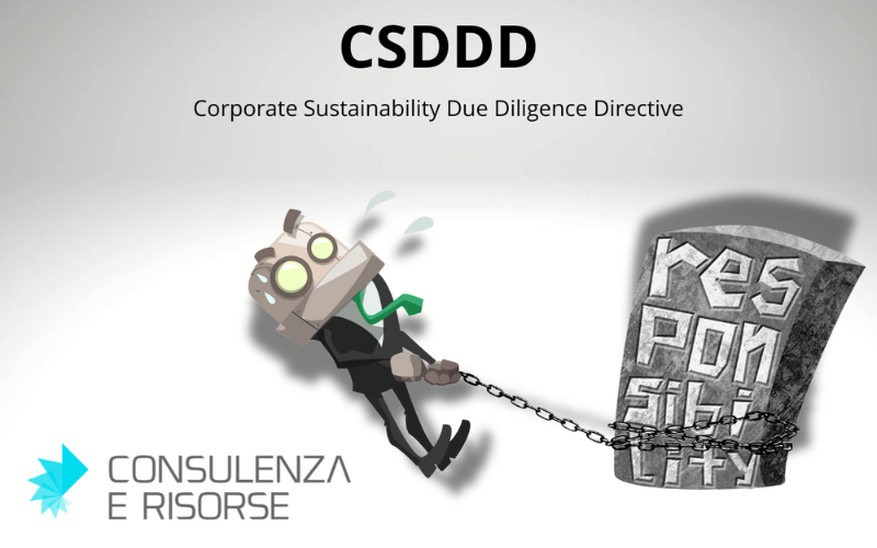 Corporate Sustainability Due Diligence Directive (CSDDD).