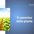 biodiversità e cambiamento climatico